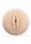 Intoyou Vagina Vacuum Cup