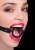 Ouch! Silicone Ring Gag