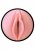 Fleshlight Pink Lady Destroya