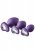 Flirts Anal Training Kit, Purple