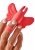 Love Signal Butterfly Buzz