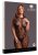Matilda Lace Bodystocking Queen Size