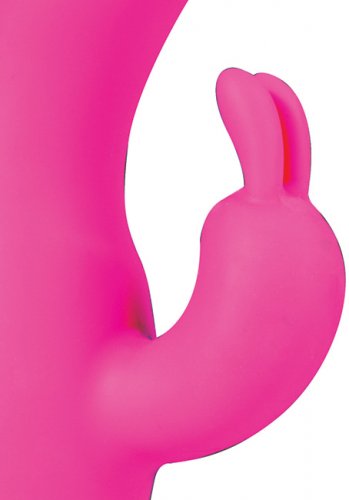 Auto Rabbit Silicone 10 Rythms