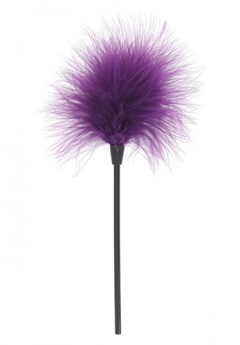 Fantastic Purple Sex Toy Kit