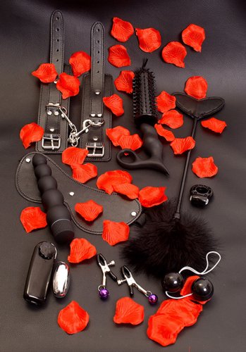Amazing Pleasure Sex Toy Kit