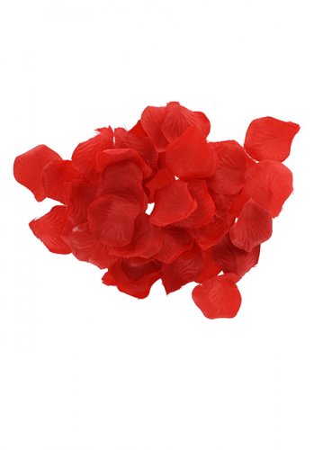 Amazing Pleasure Sex Toy Kit