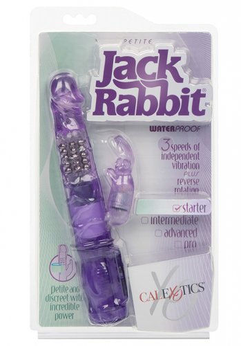 Petite Jack Rabbit, Purple