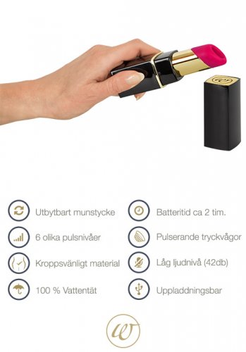 Womanizer 2GO Black
