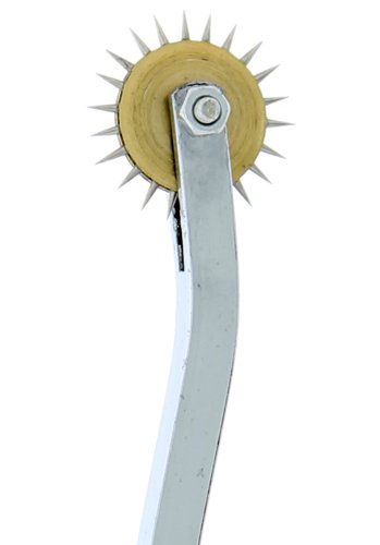 Blaze Wartenberg Wheel