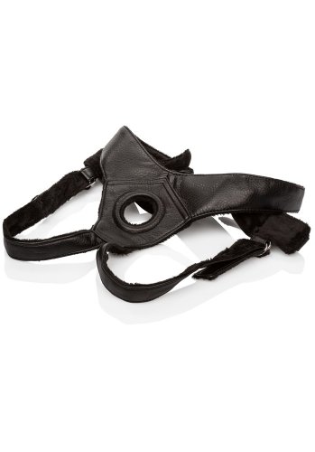Platinum Harness