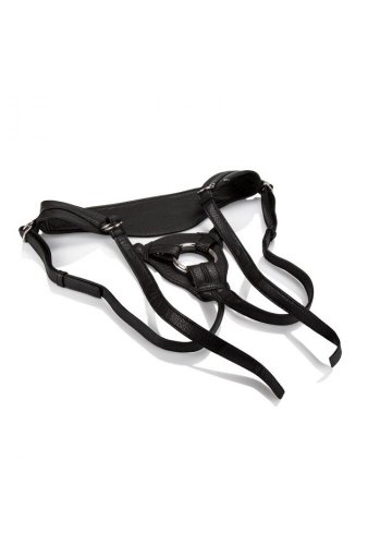 The Queen Harness