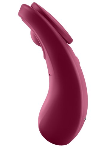 Satisfyer Sexy Secret Panty Vibrator