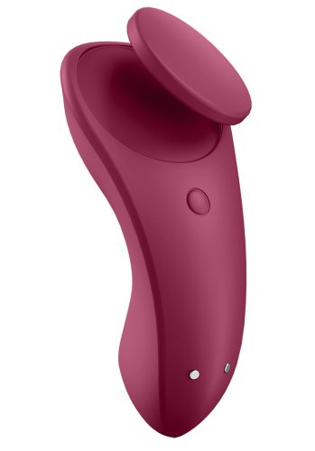 Satisfyer Sexy Secret Panty Vibrator