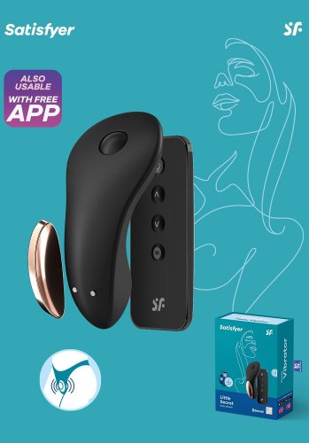 Satisfyer Little Secret Panty Vibrator