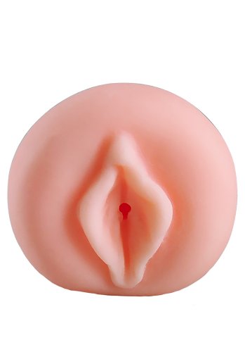 The Girl Next Door, Megan Pocket Pussy