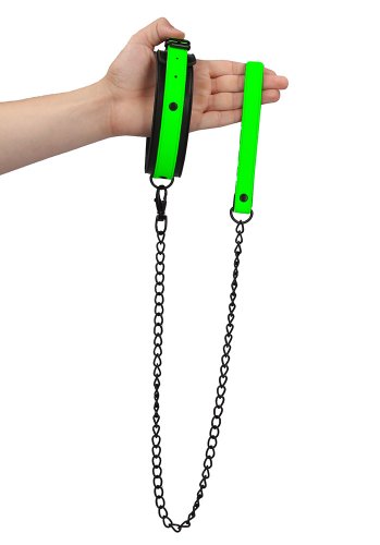Glow in the Dark Collar and Leash