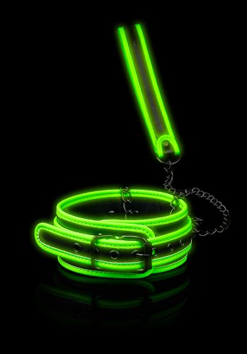 Glow in the Dark Collar and Leash