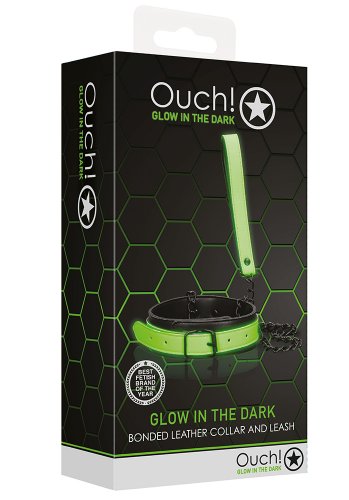 Glow in the Dark Collar and Leash