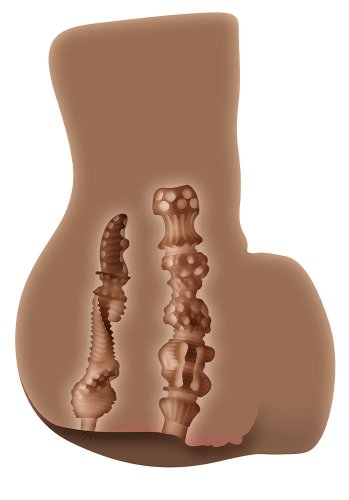 Zero Tolerance Rear Beauty, Dark