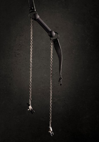 Silicone Big Gag with Nipple Clamps