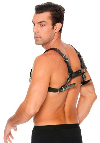Buckle Bulldog Harness S/M