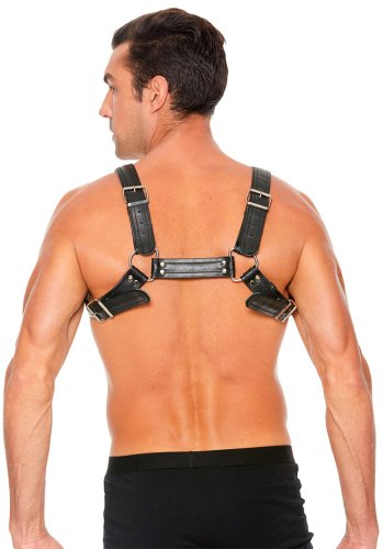 Buckle Bulldog Harness S/M