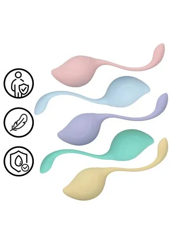 Picture of the product