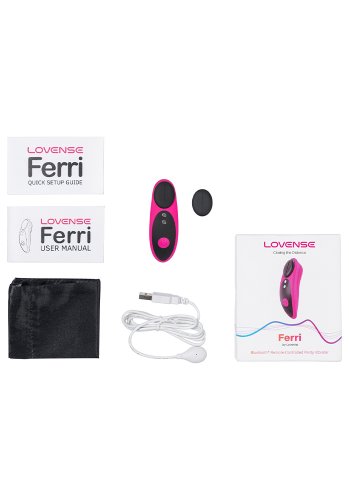 Lovense Ferri Bluetooth Panty Vibrator